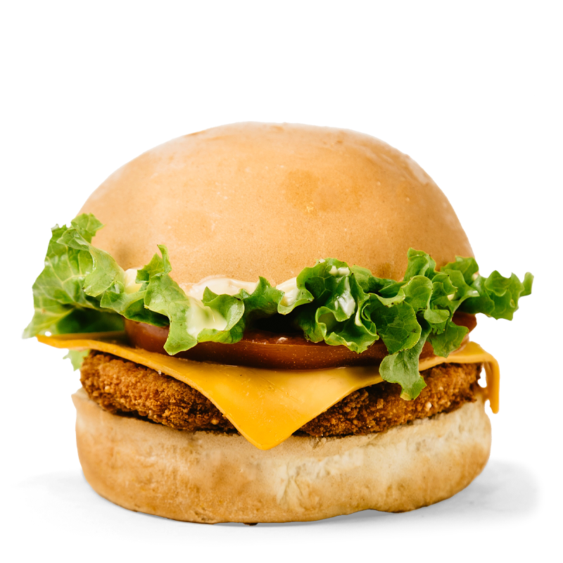 clasica pollo simple